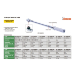Torque wrench 20~100 Nm Unilateral INSIZE (IST-9WM100)